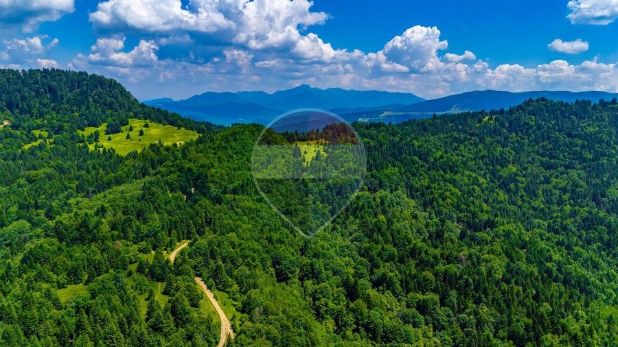 Teren agricol extravilan de 7000 mp, în Gârcini