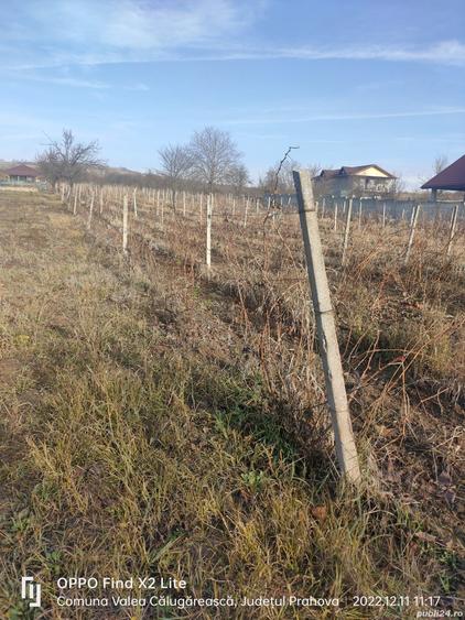 Teren în Valea Călugărească