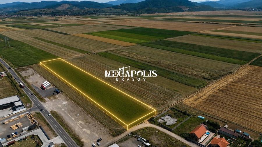 Teren agricol extravilan de 10900 mp, în Est