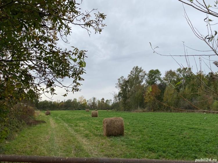 Teren de 4990 mp, în Duboz
