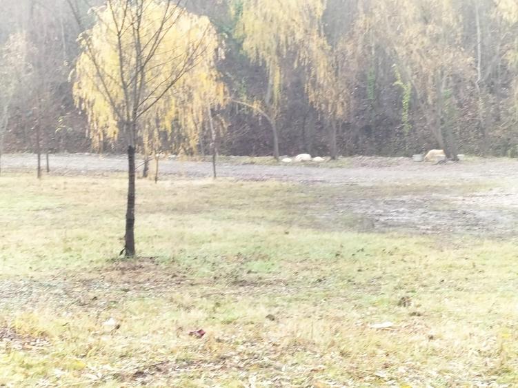 Teren de inchiriere eventual vanzare - 4