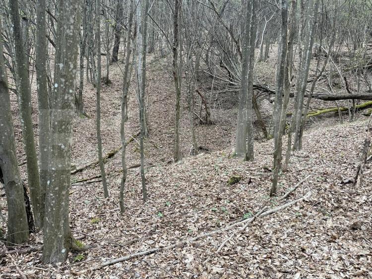 Teren extravilan de 3500 mp, în Aleșd