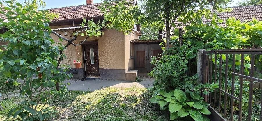 Casă cu 3 camere cu Teren 1550 Mp în Central
