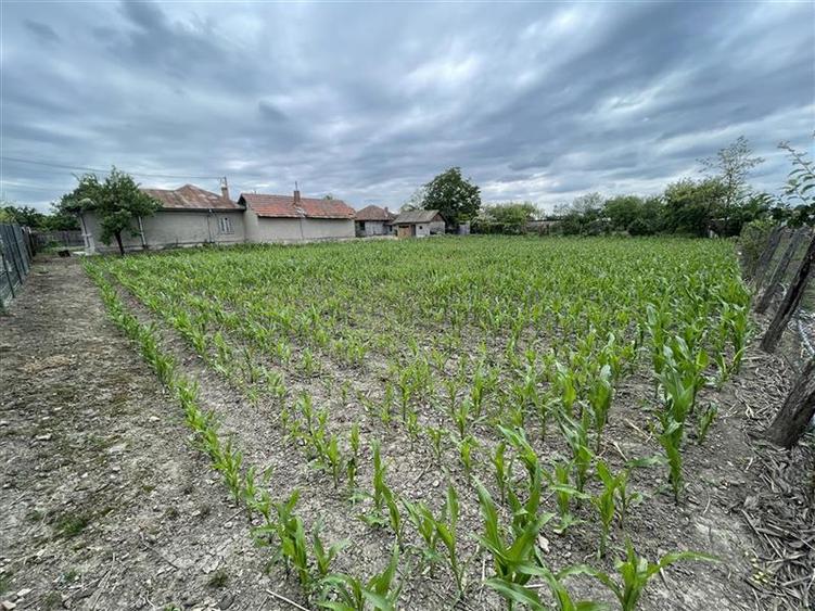Teren intravilan de 1700 mp, în Coșereni