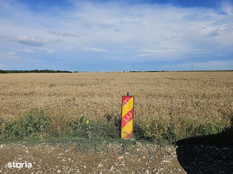 Teren de 3848 mp, în Zurbaua