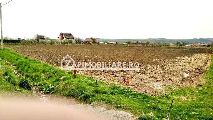 Teren Construcții extravilan de 5800 mp, în Recea