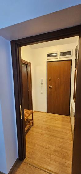 Inchiriere 2 camere - Central Park - 11