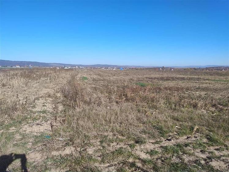 Teren Construcții extravilan de 10000 mp, în Oșorhei