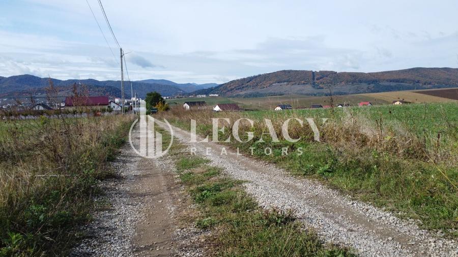 Teren agricol intravilan de 10000 mp, în Gârcina