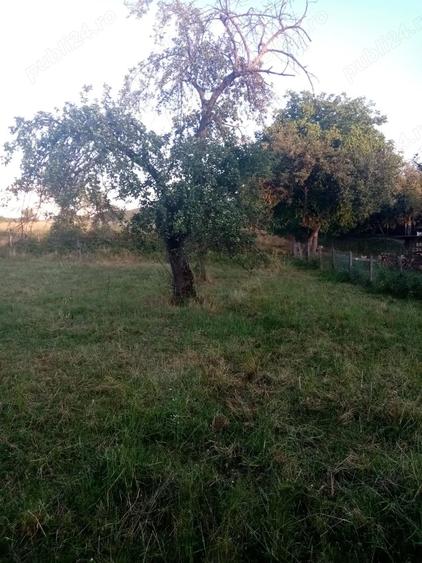Casa de vanzare Gladna Romana, judetul Timis - 2