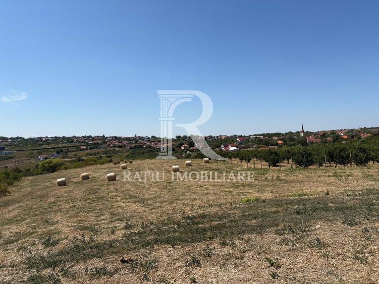 Teren Construcții intravilan de 6355 mp, în Nord
