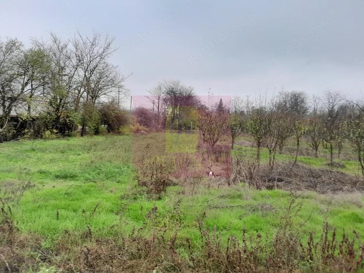 Casă cu 3 camere cu Teren 15000 Mp în Bărcănești