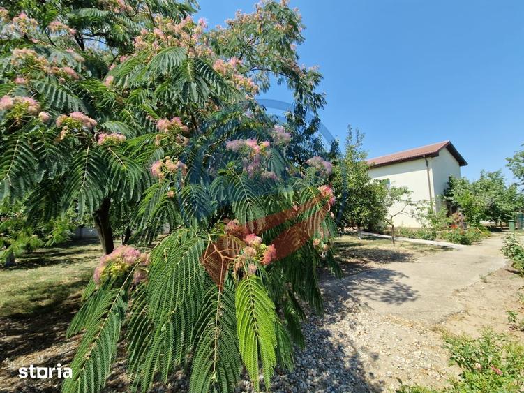 Casă cu 5 camere cu Teren 2936 Mp în Coșoveni