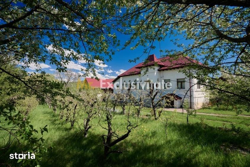 Casa Valea Mare Pravat (Campulung-Arges ) - farmec interbelic - 17