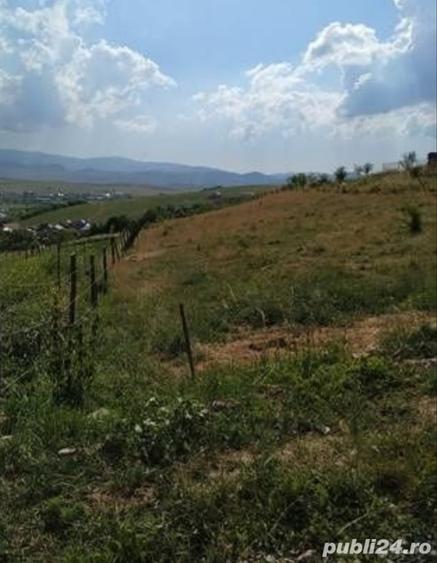 Teren de 5200 mp, în Central