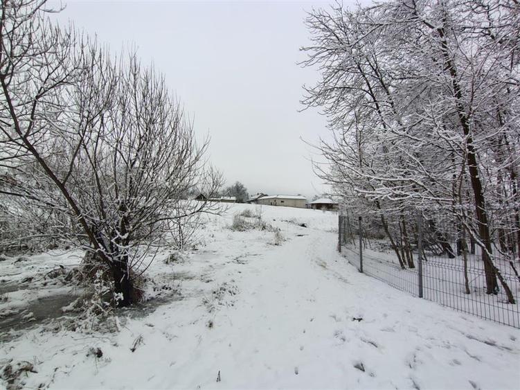 Teren Construcții intravilan de 2000 mp, în Mitocu Dragomirnei