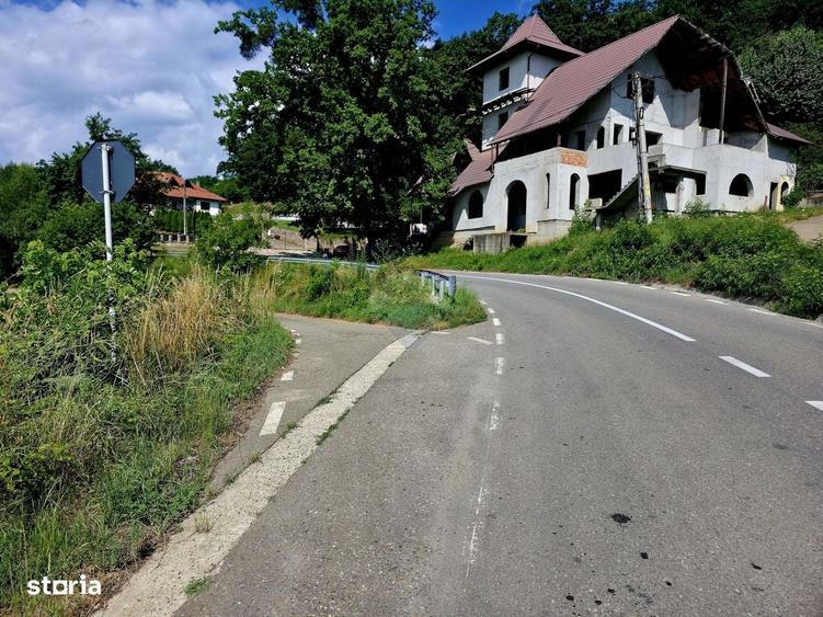 Spațiu comercial, în Viișoara