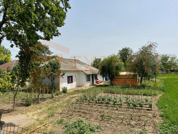 Teren Construcții intravilan de 2581 mp, în Mihail Kogălniceanu