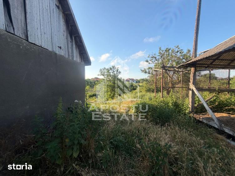 Casă cu 4 camere cu Teren 3022 Mp în Sânandrei