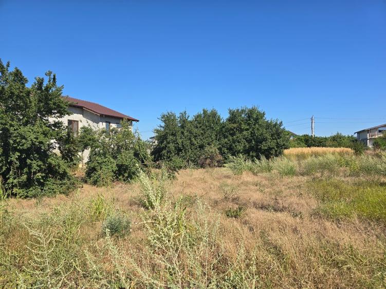 Teren Construcții intravilan de 600 mp, în Lazu