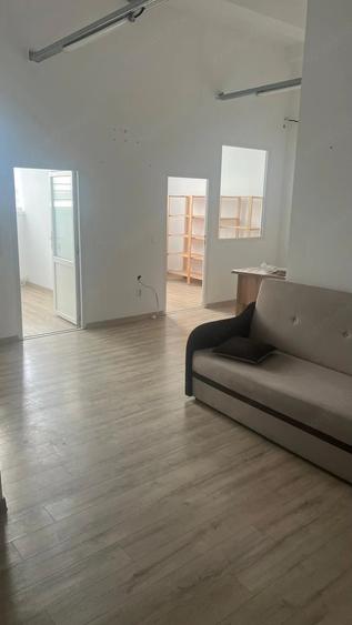 Spațiu comercial, de 280 mp, în Ferdinand