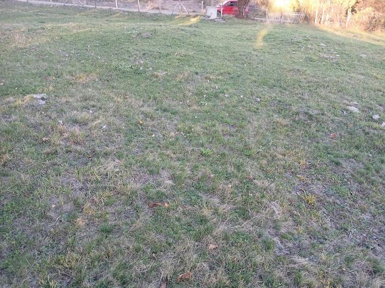 Teren de 4377 mp, în Bradu