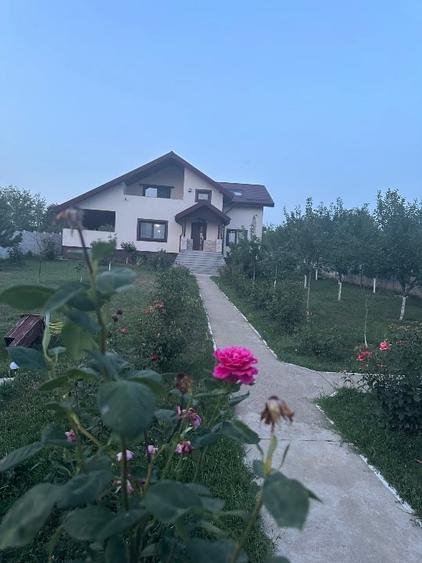 Casă individuală cu 4 camere cu Teren 1326 Mp în Podu Ilfovățului
