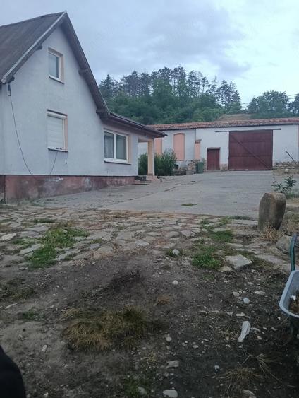 Casă cu Teren 1439 Mp în Saschiz