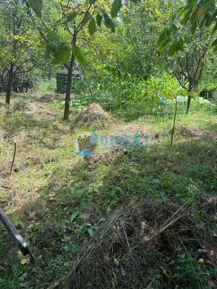 Teren intravilan de 1168 mp, în Nord-Est