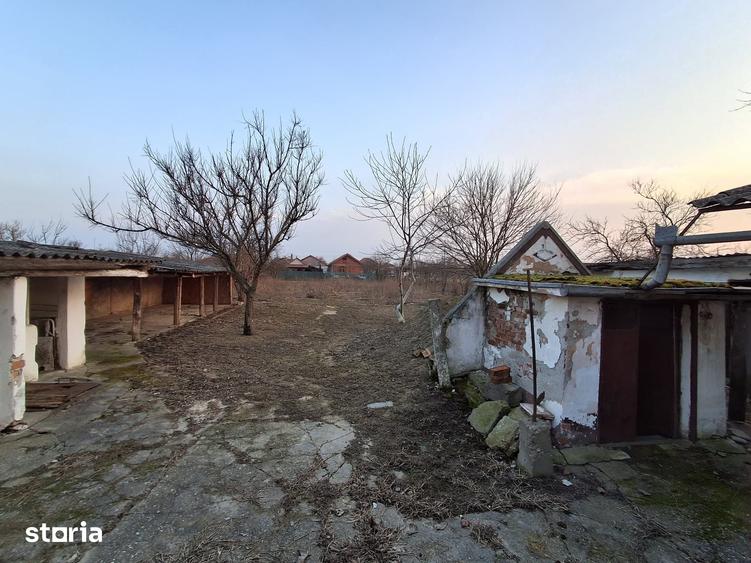Casă cu 4 camere cu Teren 1440 Mp în Vetiș