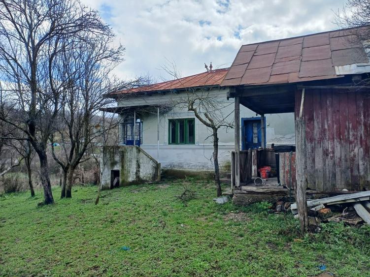 Casă cu 4 camere în Cotmeana