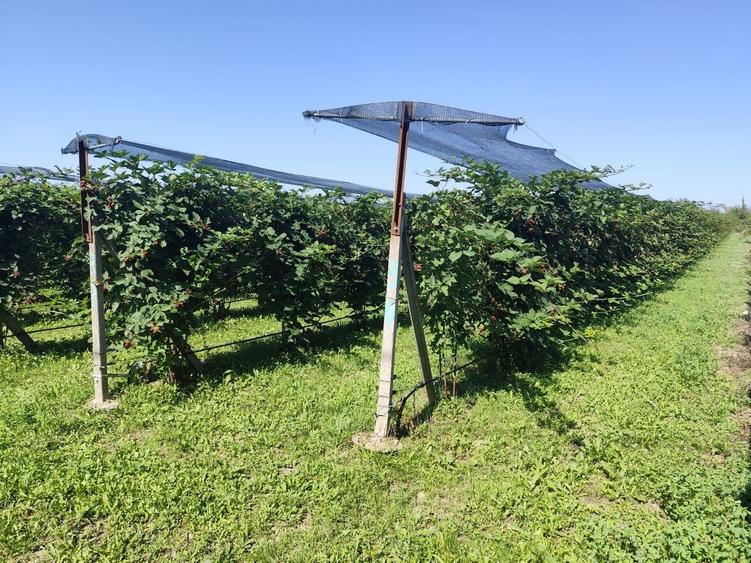 Proprietate specială, de 30 mp, în Nord