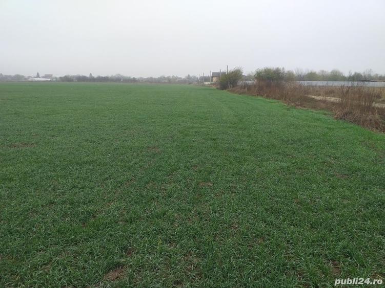 Teren de 2406 mp, în 1 Decembrie