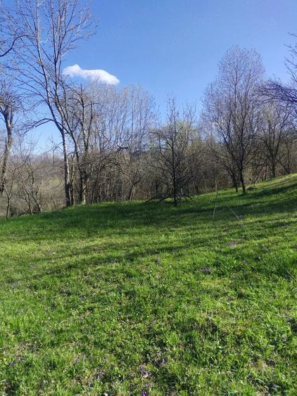 Teren de 1506 mp, în Drajna