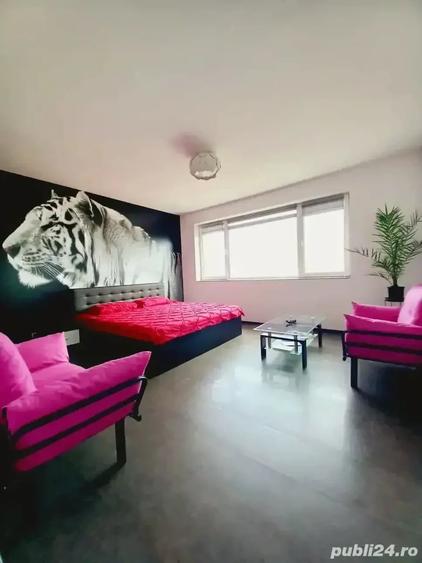 Apartament cu 2 camere decomandat în Nord