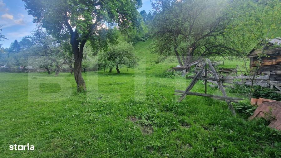 Casă cu 4 camere cu Teren 4780 Mp în Moieciu