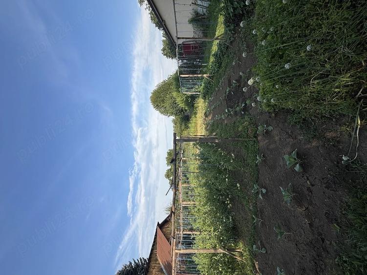 Casă cu 4 camere cu Teren 2700 Mp în Voila