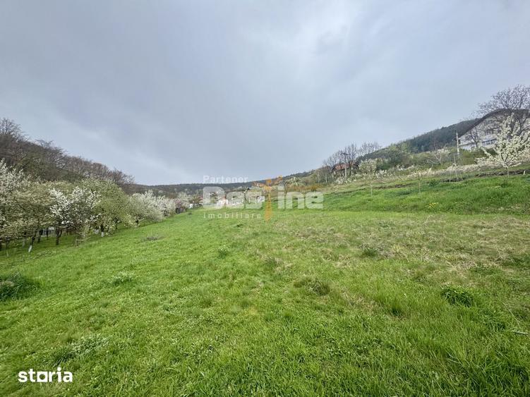 Teren de 950 mp, în Central