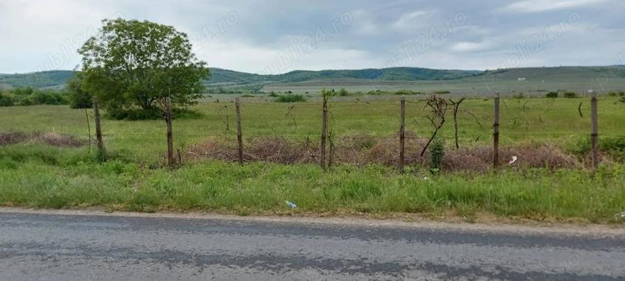 Teren de 11780 mp, în Merei