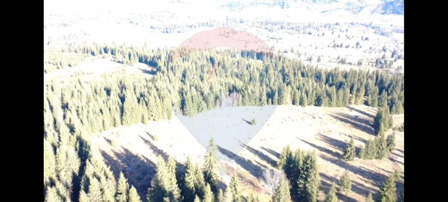 Teren agricol extravilan de 16289 mp, în Coverca
