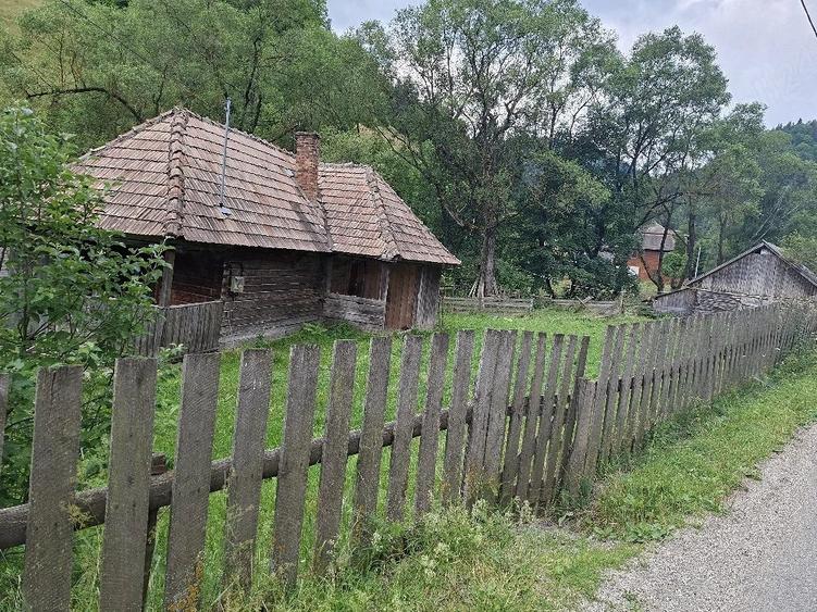 Teren de 4500 mp, în Muntele Băișorii