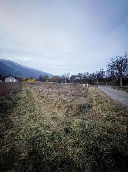 Teren în Vețel