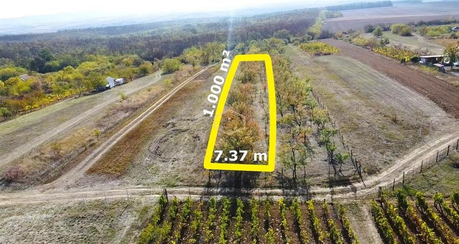 Teren Construcții intravilan de 1000 mp, în Sud