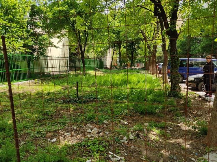 Teren Construcții intravilan de 304 mp, în Tei