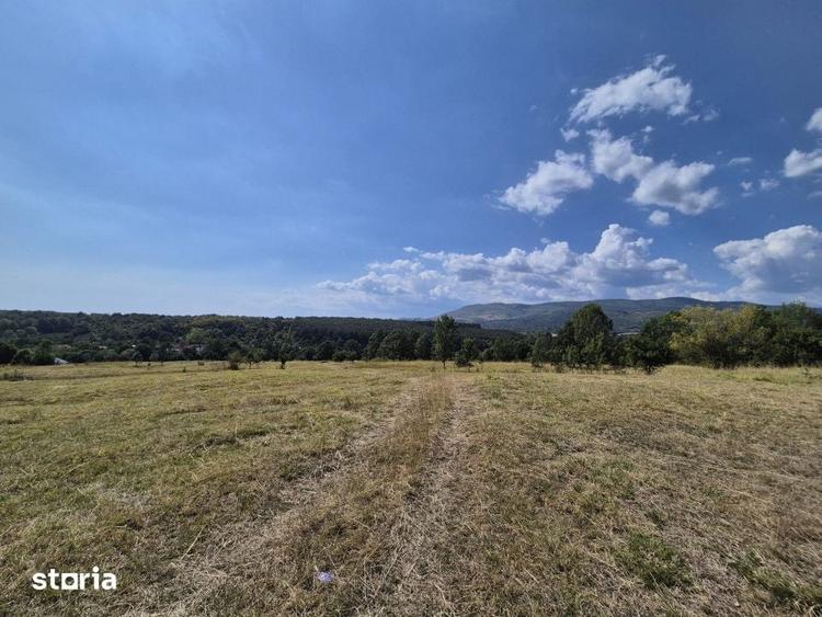 Teren de 13000 mp, în Runcu