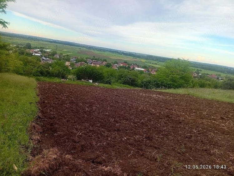 Teren de 1000 mp, în Central