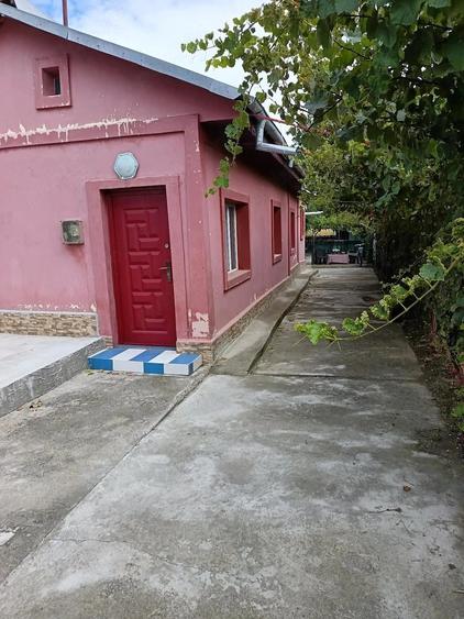 Casă cu 3 camere cu Teren 10000 Mp în Central