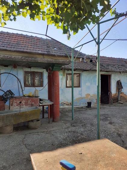 Casă cu 1 camere în Central