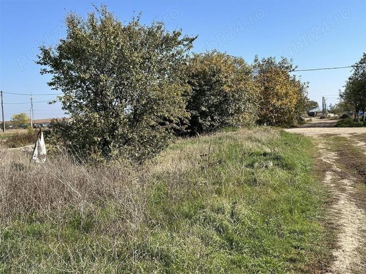 Teren de 22000 mp, în Livada