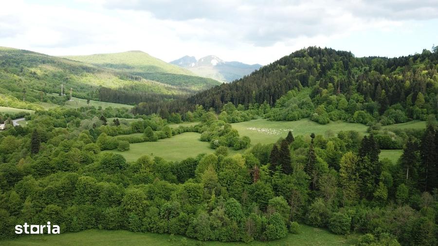 Teren de 4000 mp, în Babarunca